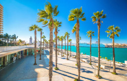 MS La Belle de Cadix